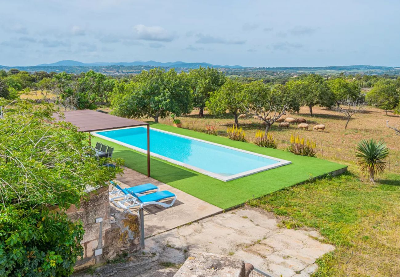 Country house in Sant Llorenç Des Cardassar - Can Rich