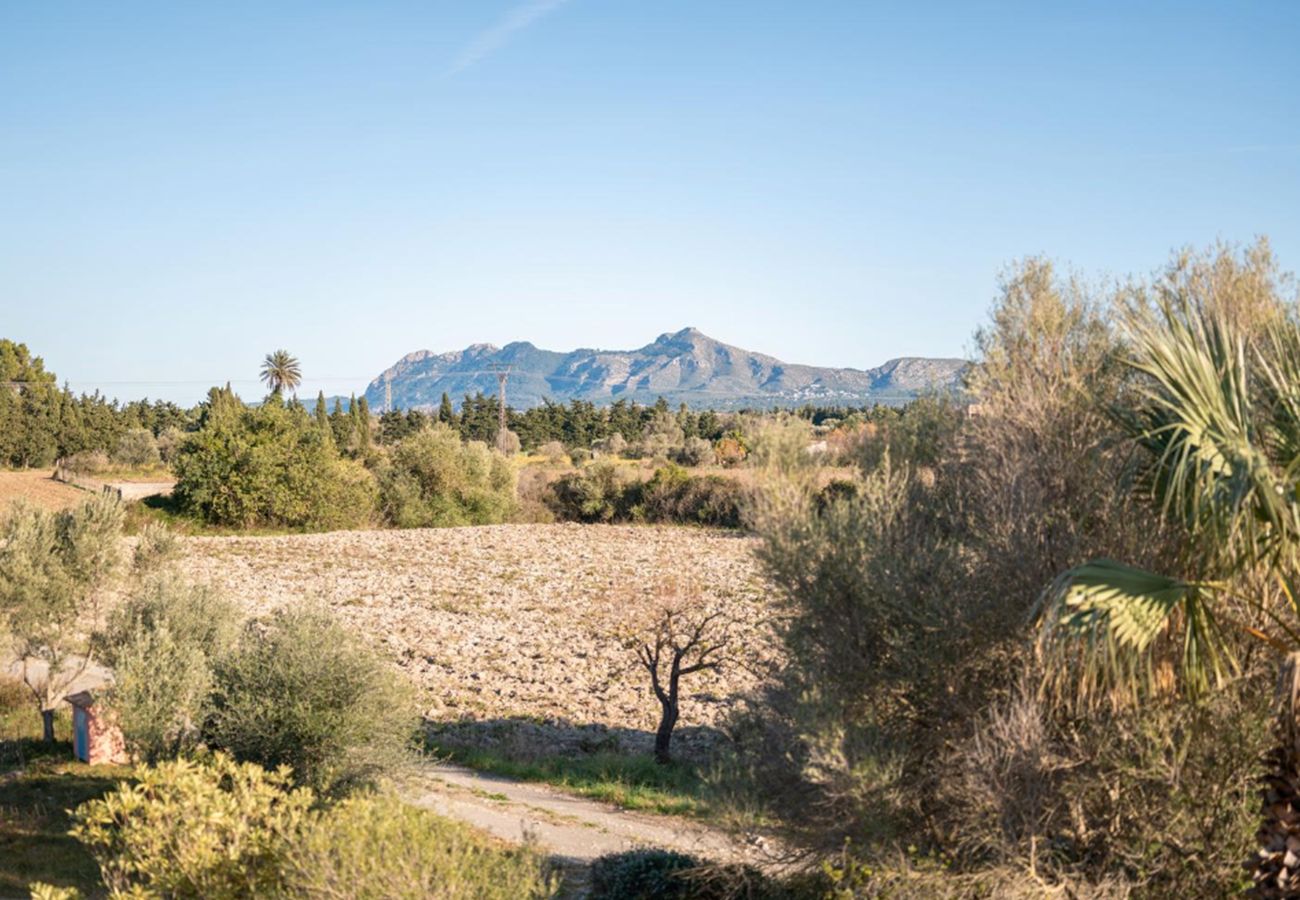 Country house in Pollensa / Pollença - Font de Malany