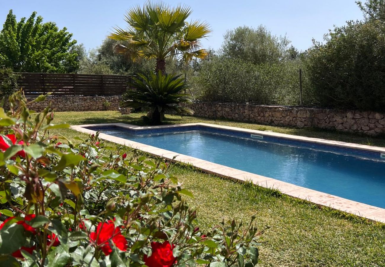 Cottage in Manacor - Son Milana 